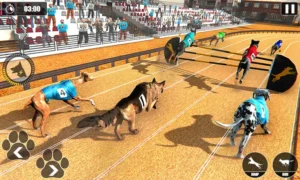 Hướng Dẫn Cách Chơi Game Nhanh Đua Chó Tại SV388 Cực Đỉnh Thú Vị